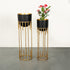 Dripping Luxury Metal Black Pot & Golden stand Planters - Pair
